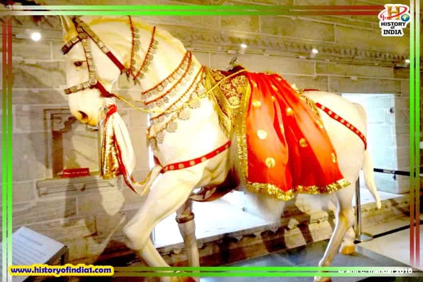 Maharana Pratap Horse Chetak History In Hindi