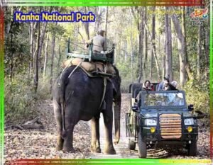 Kanha National Park Images
