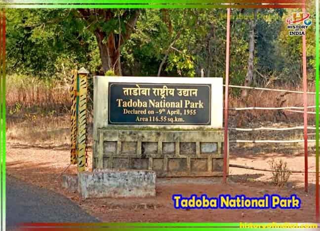 Tadoba National Park Information in Hindi
