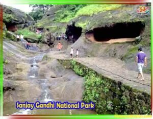 sanjay gandhi national park images