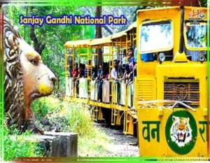 संजय गांधी राष्ट्रीय उद्यान