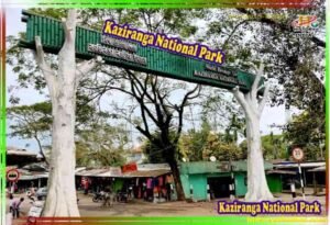Kaziranga National Park & Tiger Reserve in Hindi | काजीरंगा राष्ट्रीय उद्यान