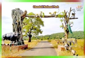 Chandoli National Park Images