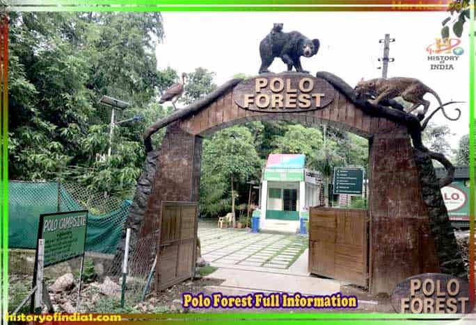 Polo Forest Full Information In Hindi