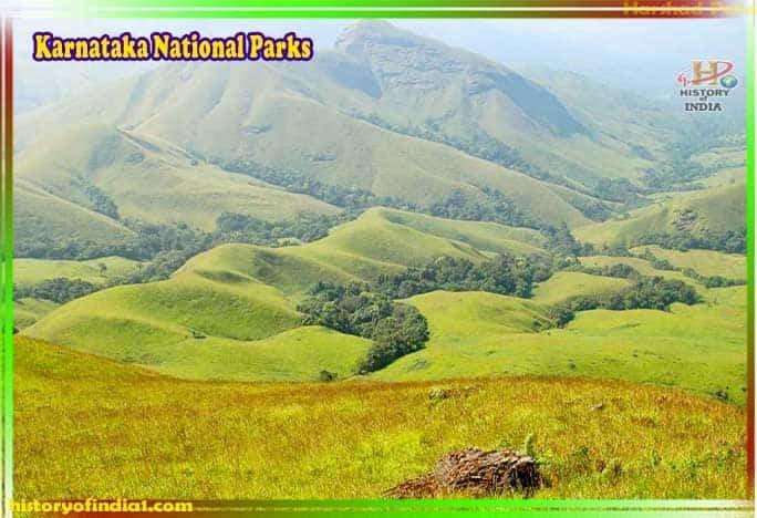 Karnataka National Park In Hindi