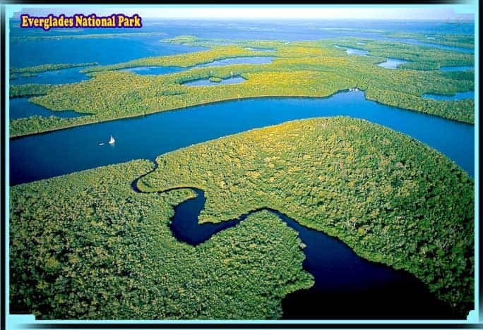 Full Information of Everglades National Park